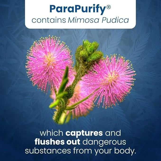 ParaPurify-120 Capsules: Digestive Health Support Supplement