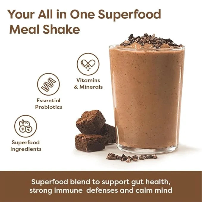 310 Nutrition All-In-One Meal Replacement Shake - Fiber-Rich Vegan Superfood Blend with Natural Sweeteners - Low Carb, Ket...