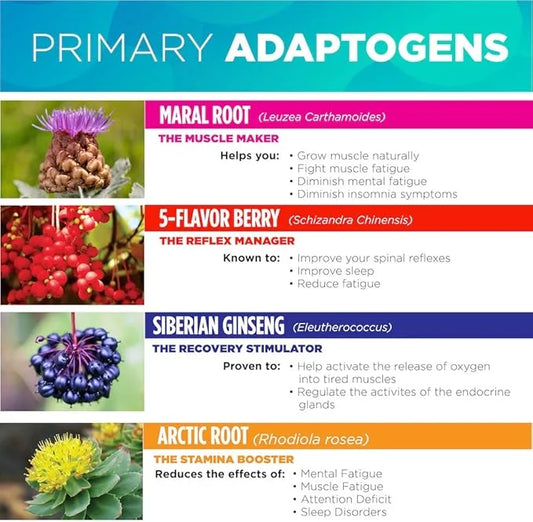 for Him Primary Adaptogen blend