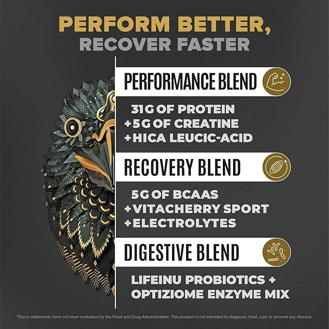 BIRDMAN Falcon Performance Vegan Protein Powder, 31g Protein, 5g Creatine, 5g BCAA, Probiotics, Electrolytes, Pre Workout,...