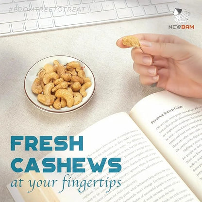 NEWBAM - Sea Salt Cashews Snack, 12 Pack (1.5oz), Keto