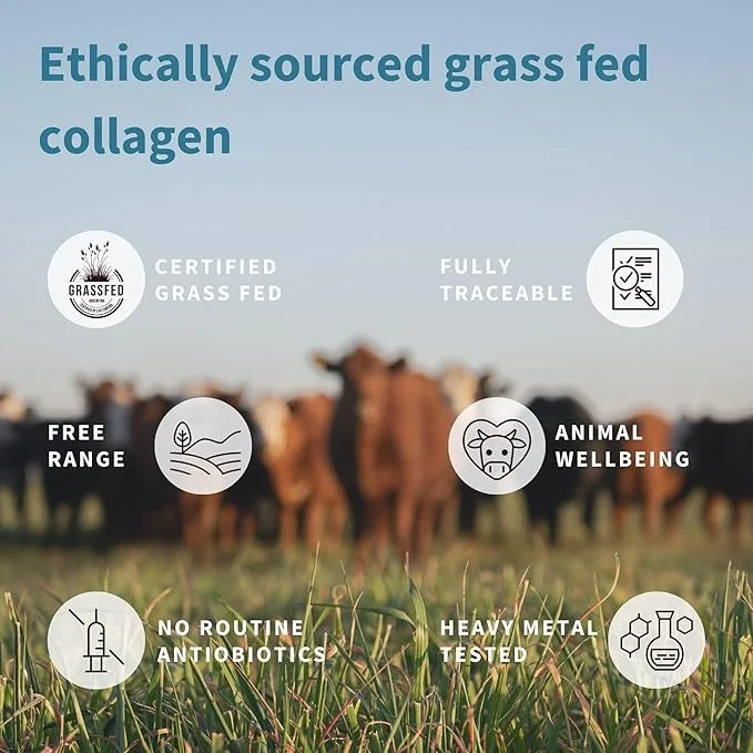 Pure & Essential 100% Grass Fed 1, 2 2 & 3, Non-GMO, 4 x 40 Servings