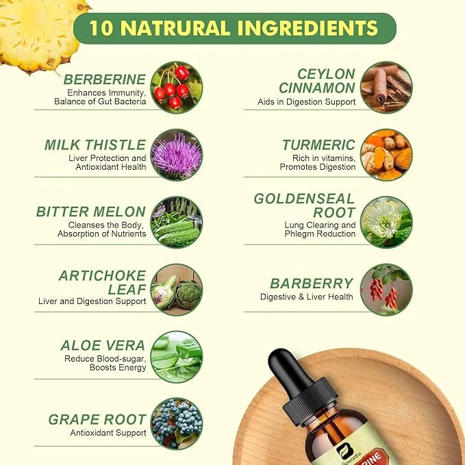 Berberine Supplement with Ceylon Cinnamon - Berberine Liquid Drops with Turmeric Curcumin, Ceylon Cinnamon, Bitter Melon, ...