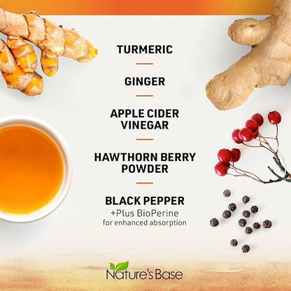 Turmeric Curcumin Supplement with Ginger & (240 Count) 95% Curcuminoids