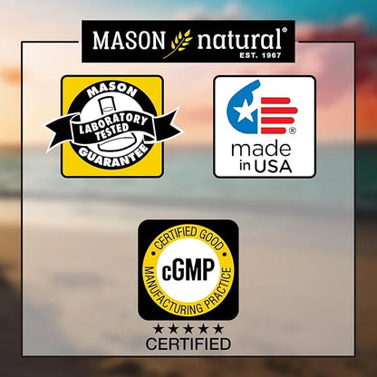 MASON NATURAL Sambucus Elderberry Gummies 60 Gummies