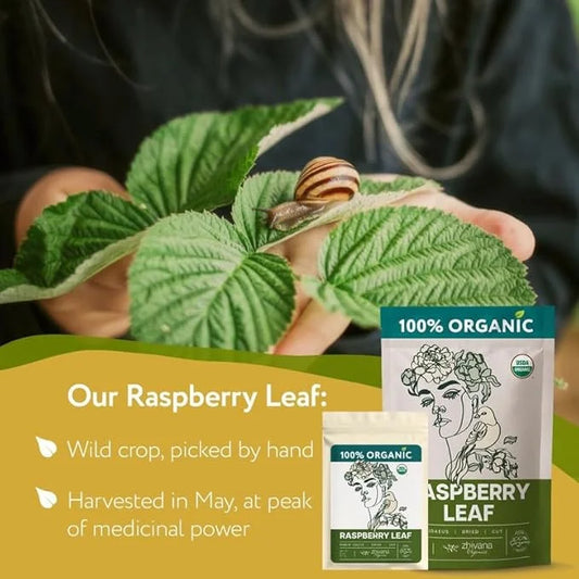 Red Raspberry Leaf Tea Organic – Loose Rasberry Leaves - Organic Raspberry Leaf Tea for Frist, Second, Third Semester Preg...