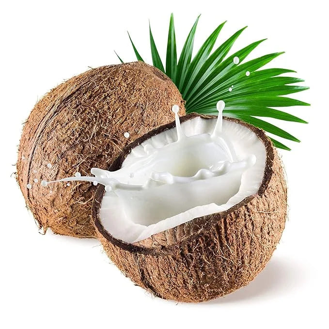 US Organic Fractionated Coconut MCT Oil (Liquid Coconut Oil), USDA Certified Organic, Non-GMO, Perfect for massage, carrie...