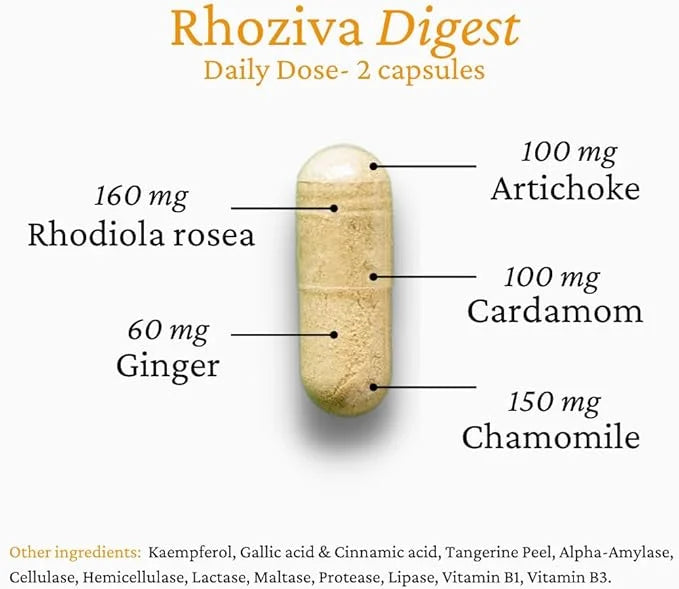 Digest. Gut Health supplement with Digestive 60 Capsules.