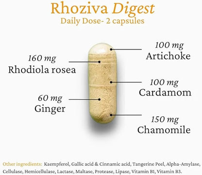 Digest. Gut Health supplement with Digestive 60 Capsules.