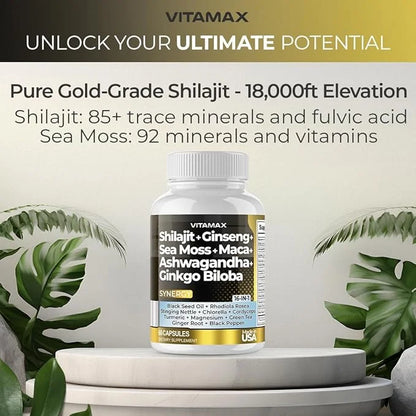 Pure Himalayan Shilajit Supplement 10,000mg Ashwagandha 6,000mg Sea 2,000mg Rhodiola 1000MG Gingko 500mg Trace (60 Count 2)