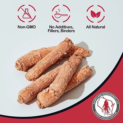 Red Panax Ginseng Powder with Natural (8 oz)- (1 Pack)