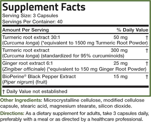 Bronson Turmeric + Ginger Extra Strength 120 Vegetarian