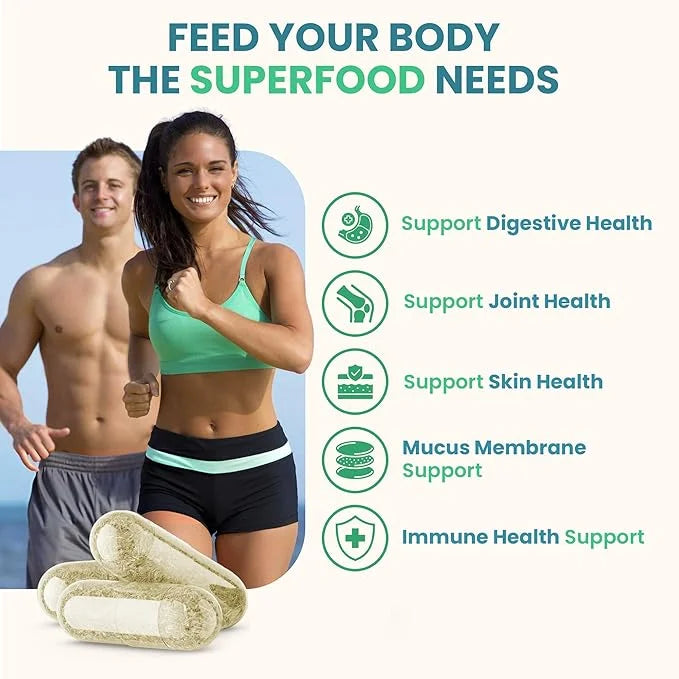 Atlantic Naturals Organic Sea Moss Capsules | Immune System, Thyroid Health, Beautiful Skin and Digestion Multivitamin Sup...