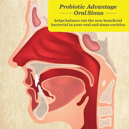 Healthy Directions Dr. David Williams' Probiotic Advantage Oral Sinus Probiotics for Your Mouth, Teeth, and Gums, Sugar-Fr...