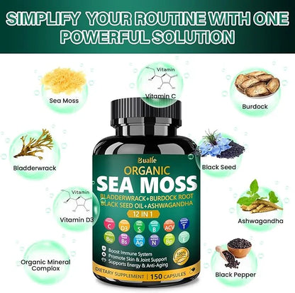 Organic Sea Moss Capsules with Sea Moss,Black Seed Oil,Ashwagandha,Bladderwrack,Ginger,Burdock Root for Immune System,Skin...
