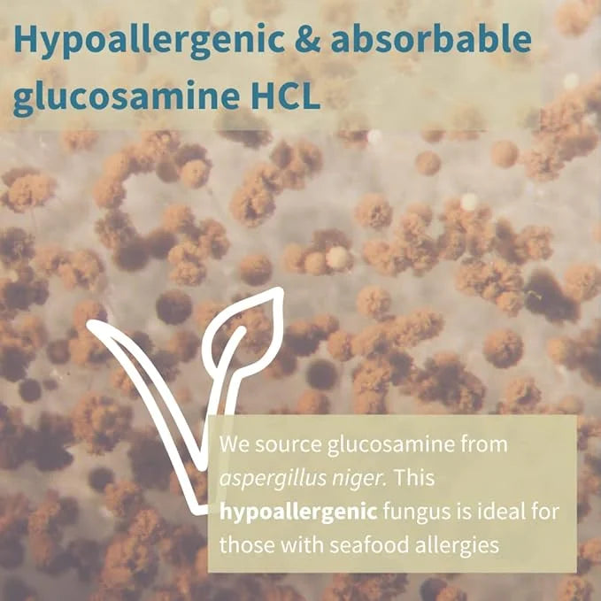 Omegaflex Glucosamine with High Strength Fish Omega-3 & 6, 70% 70% Concentration 60 Softgels