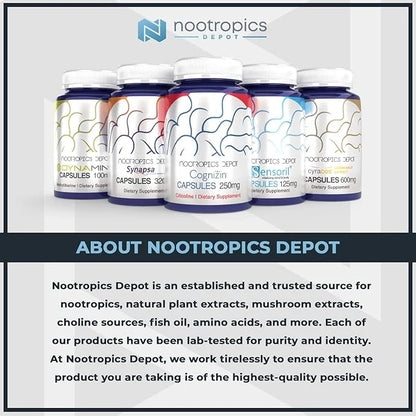 Nootropics Depot GS15-4 Panax Ginseng Extract Capsules 200mg | 30 Count