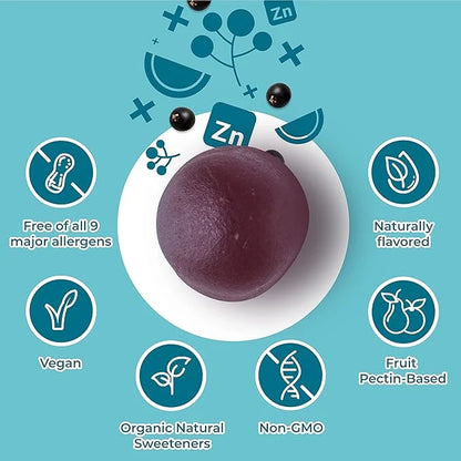 Hyland's Kids Organic Elderberry Plus Gummies, 48 Vegan