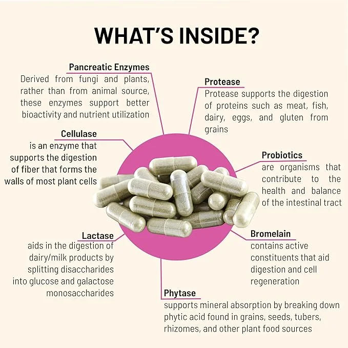 Digestive – Probiotics for Gut Health 1.5 Billion (90 Capsules)