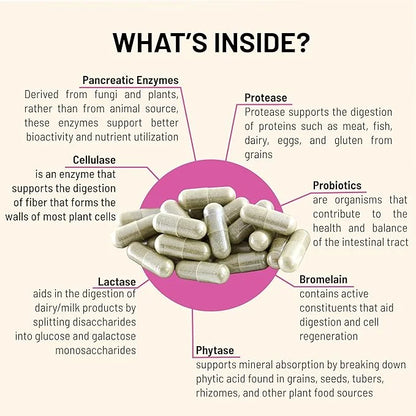Digestive – Probiotics for Gut Health 1.5 Billion (90 Capsules)