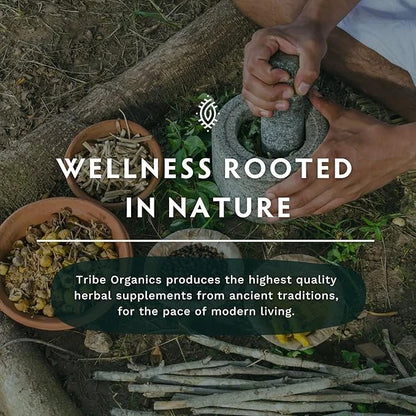 TRIBE ORGANICS Organic Shatavari Herbal Supplement - Hormonal Balance | Women’s Reproductive Health | Lactation | Immune &...
