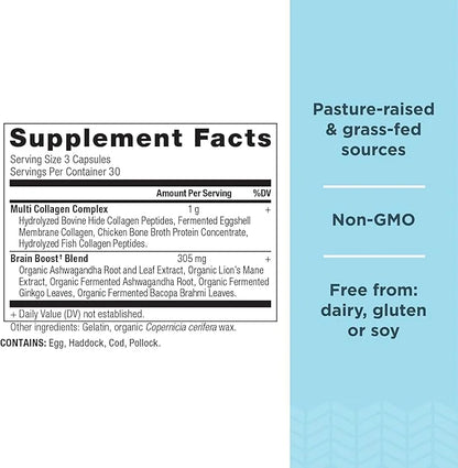 Ancient Nutrition Collagen Protein Brain Boost, 90 ct