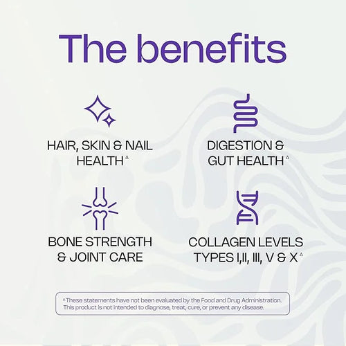 Multi Collagen Fortified with Biotin, MSM,