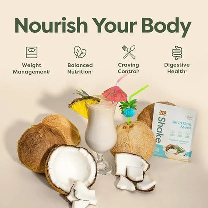 310 Nutrition All-In-One Meal Replacement Shake - Fiber-Rich Vegan Superfood Blend with Natural Sweeteners - Low Carb, Ket...