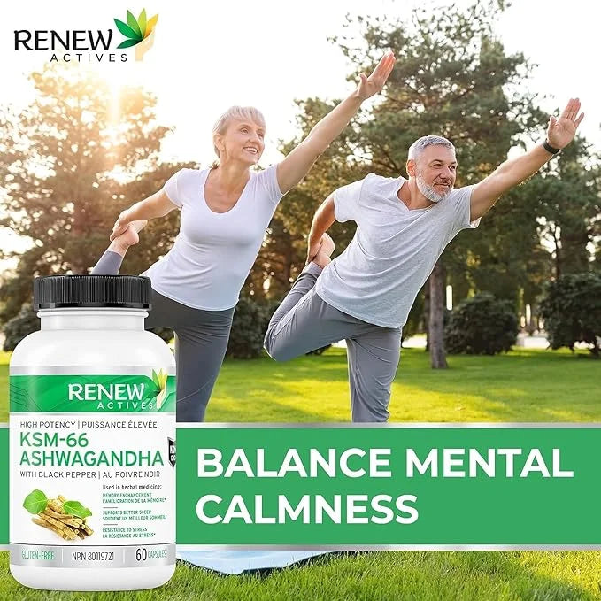 Renew Actives Ashwagandha KSM-66 Capsules 60 Capsules