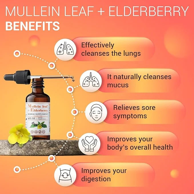 Mullein Leaf Extract with Elderberry 4