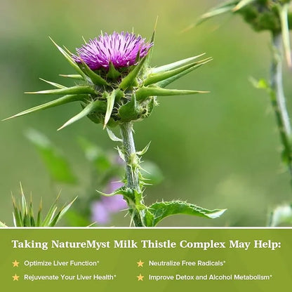 Milk Thistle Complex, 4-in-1 Liver Support, 30:1 Milk 80% Silymarin, 60 Vegetarian