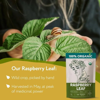 Organic Red Raspberry Leaf Tea – Wild Raspberry Tea for for Pregnancy, Healthy Cycle, Menstrual Cramps – 6oz - Product Image
