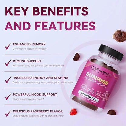 Sunrise 10x Potency Nootropic Adaptogenic Mushroom 60 Count