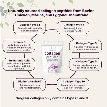 Micro Ingredients Multi Collagen Protein Powder, 2 Pounds