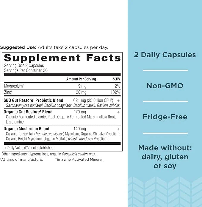 Probiotics by Ancient Nutrition, SBO Probiotics 60 Ct, 25 Billion
