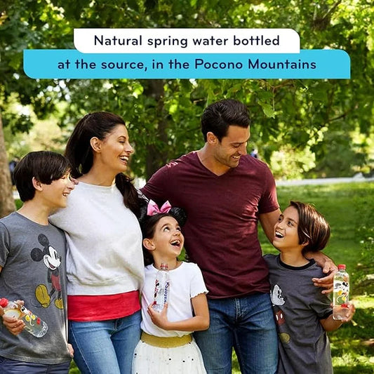 PULSE Mickey Mouse Natural Spring Water - Disney Water Bottles - Filtered Spring Water - BPA-Free Recyclable Bottles - 24 ...