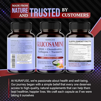 GLUCOSAMINE 9-in-1 Formula D3 Non-GMO,
