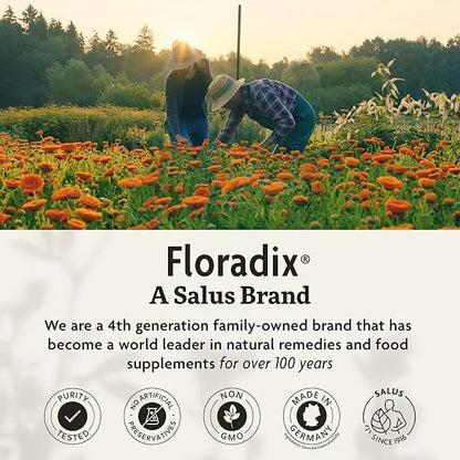 Floradix by Salus Iron & Herbs - Liquid Herbal Supplement for Energy Support - Iron Supplement with Vitamin C & B Complex ...