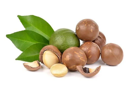 US Organic Macadamia Nut Oil Unrefined Virgin, USDA Certified Organic, Pure & Natural, Cold Pressed, Sourced in Kenya, in ...