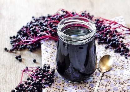 Food to Live Organic Black Elderberry 16 Pounds
