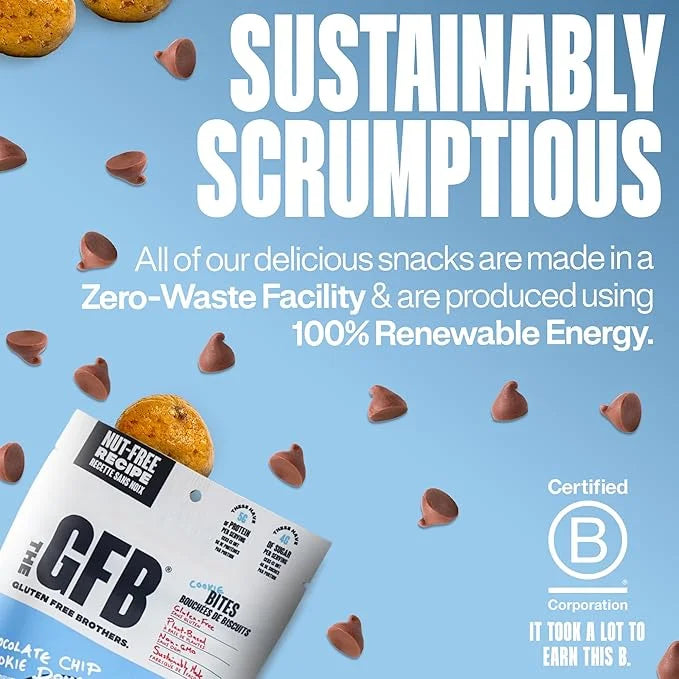 The Gluten Free Brothers Chocolate Chip Cookie Dough Nut Free Bites - Allergen Friendly, Gluten Free, Soy Free Protein Bal...
