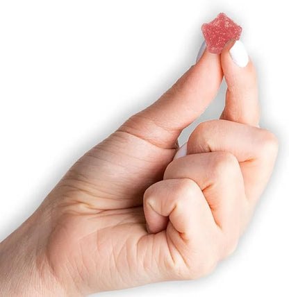 MASON NATURAL Sambucus Elderberry Gummies 60 Gummies