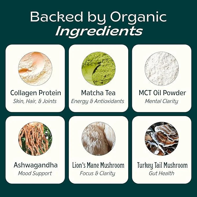 JIBBY Mushroom Matcha Super Latte - Ceremonial Grade Green Tea Organic Matcha Powder, Collagen, MCT Oil, Superfood Mushroo...