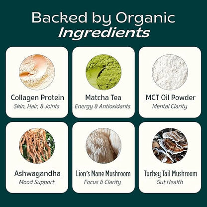 JIBBY Mushroom Matcha Super Latte - Ceremonial Grade Green Tea Organic Matcha Powder, Collagen, MCT Oil, Superfood Mushroo...