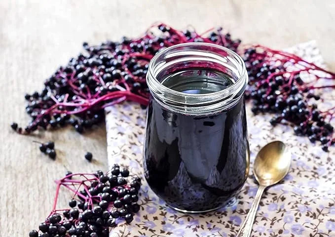 Food to Live Organic Black Elderberry 6 Ounces
