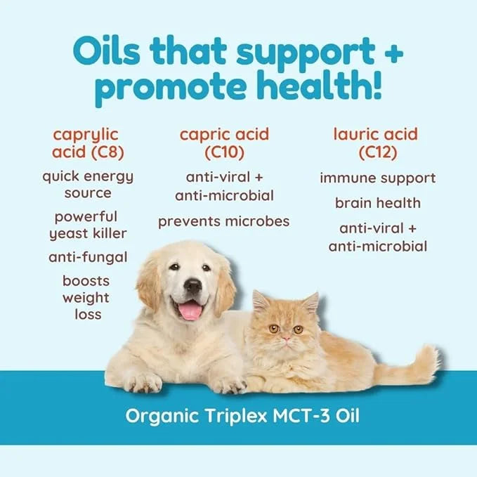 CocoTherapy Triplex MCT-3 Oil, Non-GMO, 100% Pure and Natural, 16 oz. - Product Image