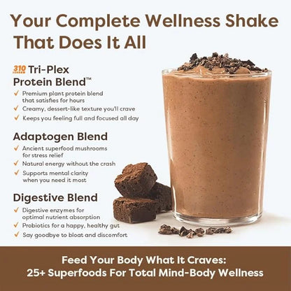 310 Nutrition All-In-One Meal Replacement Shake - Fiber-Rich Vegan Superfood Blend with Natural Sweeteners - Low Carb, Ket...