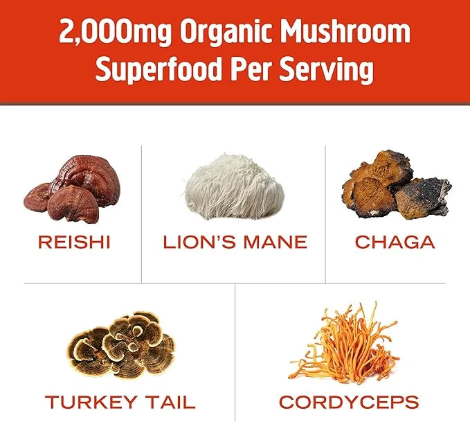 Om Mushroom Superfood Morning Energy Blend 10 Count, D2, Agaricus