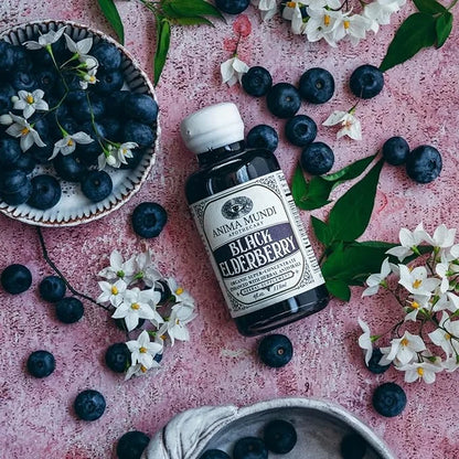Anima Mundi Black Elderberry Syrup (2oz / 59ml)