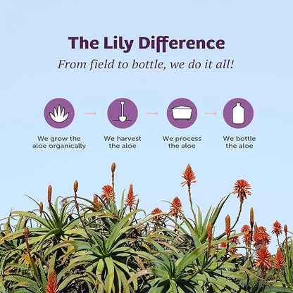 Lily of the Desert Aloe Vera Juice - Organic, Preservative-Free Inner Fillet Aloe Vera Drink with Natural Digestive Enzyme...